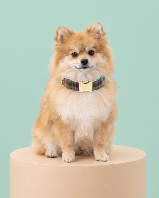 Autumn Spice Plaid Dog Collar