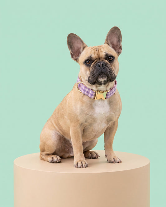 Lavender Picnic Plaid Dog Collar
