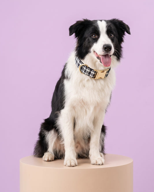Monochrome Chic Plaid Dog Collar
