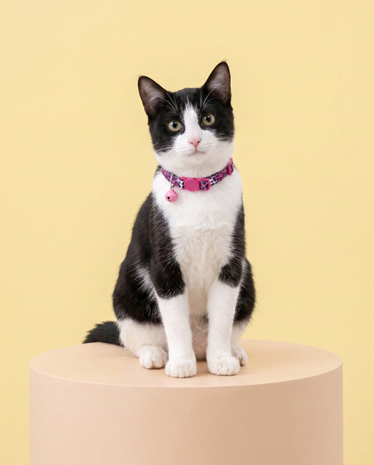 Wild Berry Leopard Cat Collar