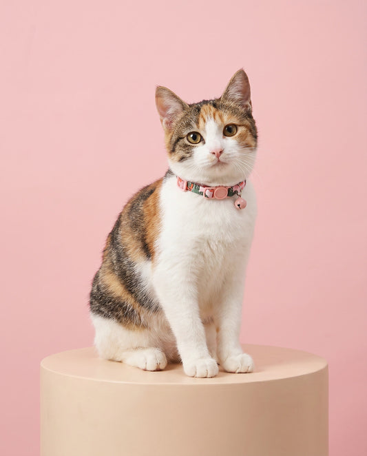Tropical Paradise Floral Cat Collar