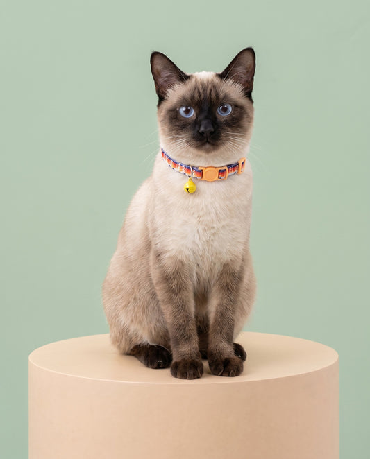 Desert Sunset Geometric Cat Collar