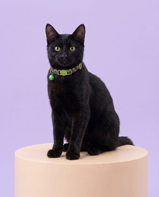 Jungle Camo Cheetah Cat Collar