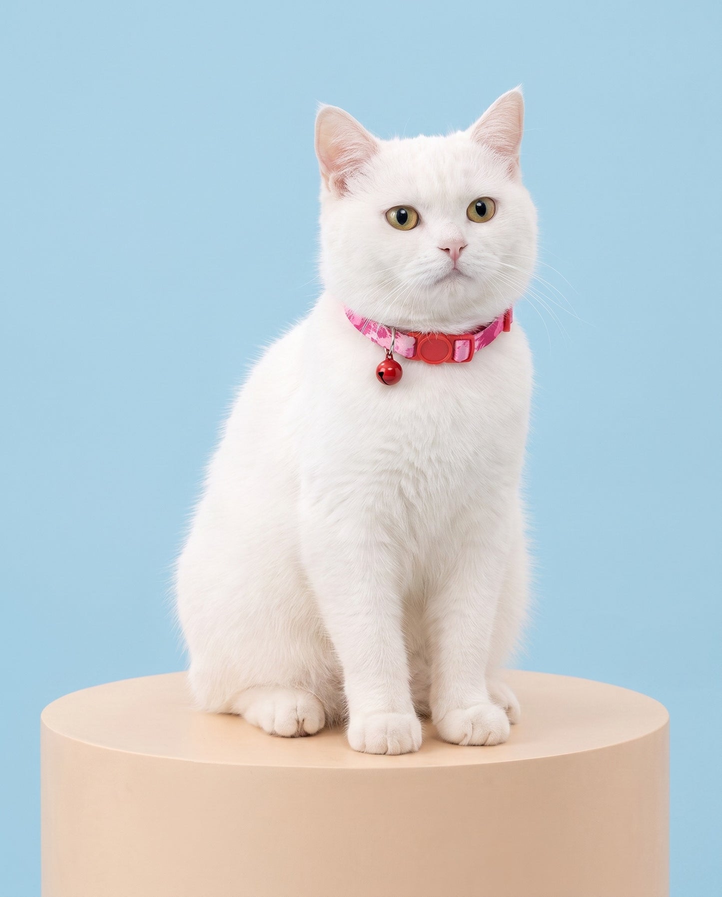 Pink Watercolors Cat Collar