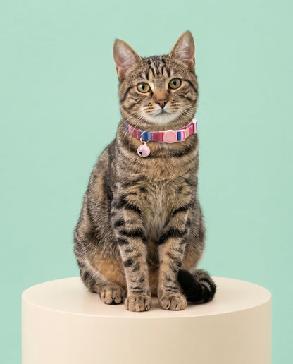 Boardwalk Stripes Cat Collar