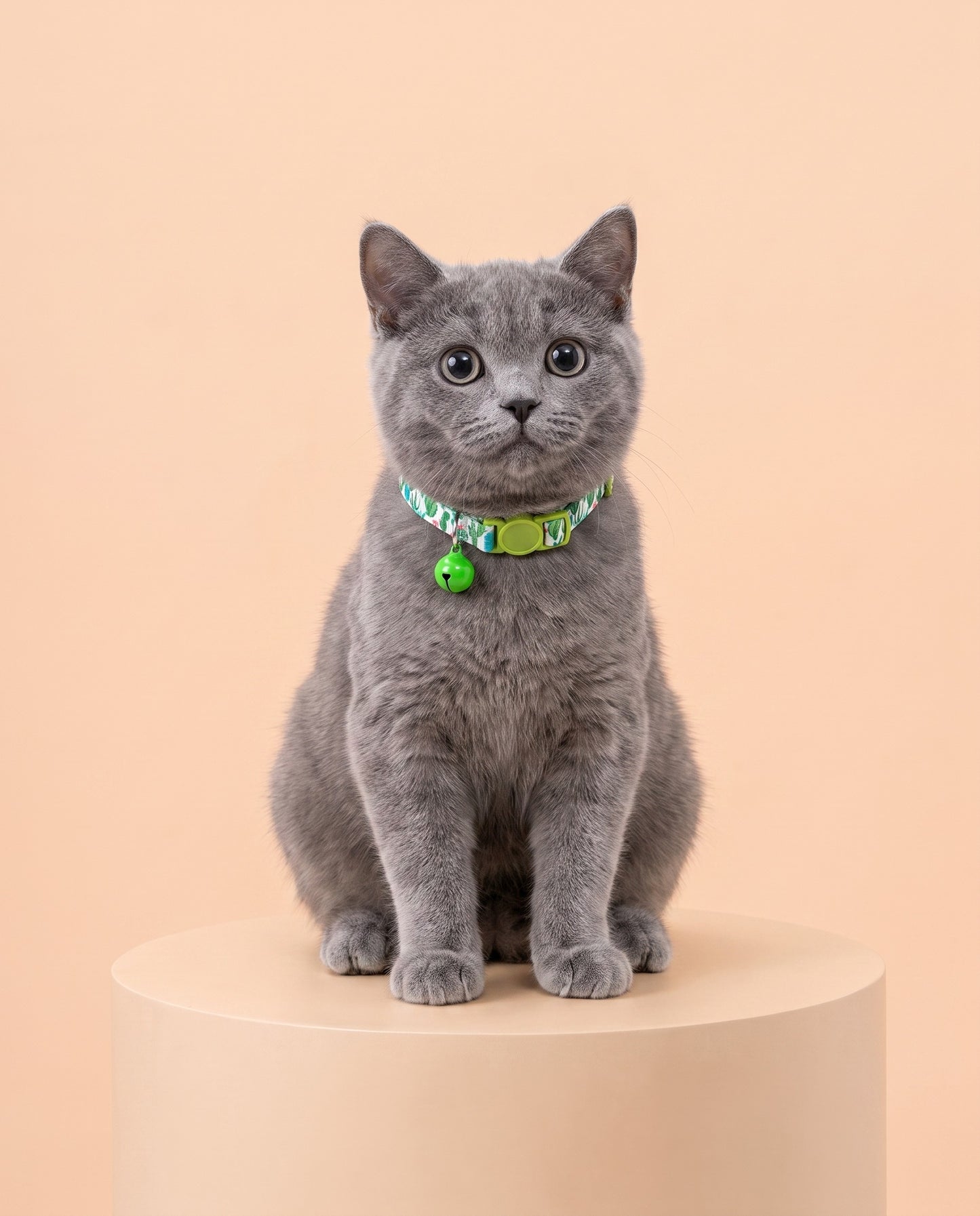 Desert Bloom Cactus Cat Collar