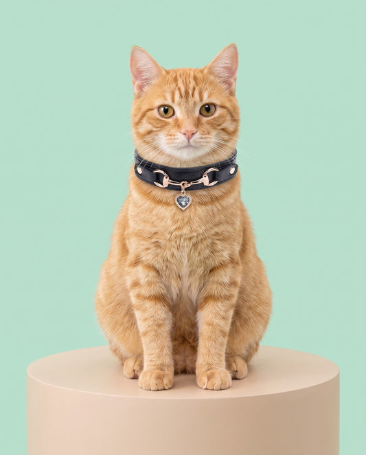 Midnight Glamour Heart Charm Pet Collar
