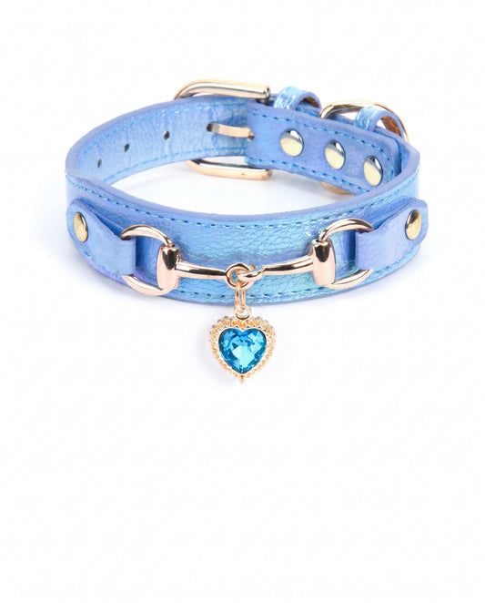 Oceanic Jewel Heart Charm Pet Collar