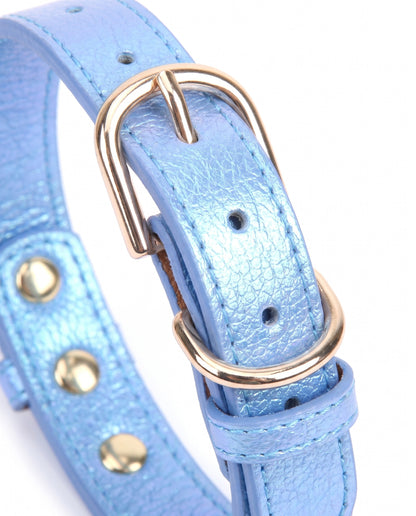 Oceanic Jewel Heart Charm Pet Collar
