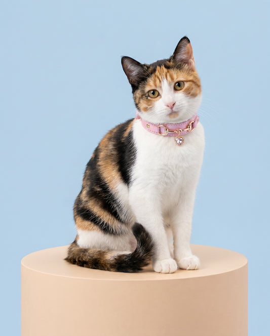 Rose Quartz Princess Heart Charm Pet Collar