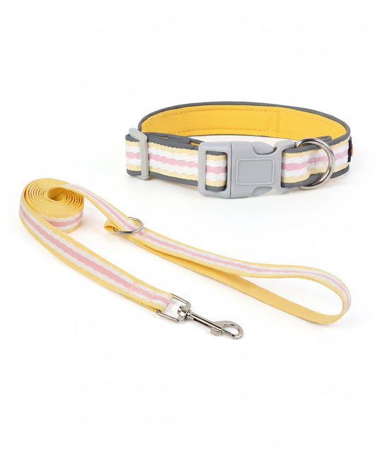 Sunny Days Striped Dog Collar & Leash Set