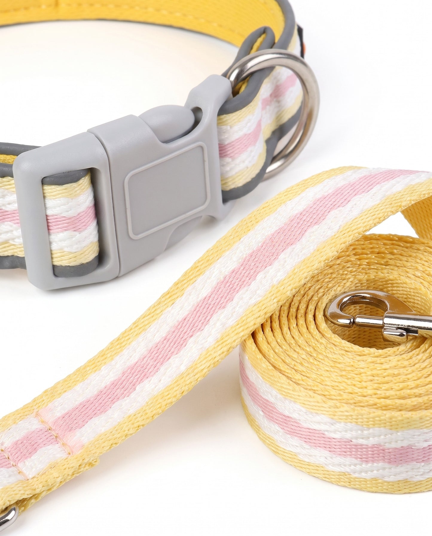 Sunny Days Striped Dog Collar & Leash Set