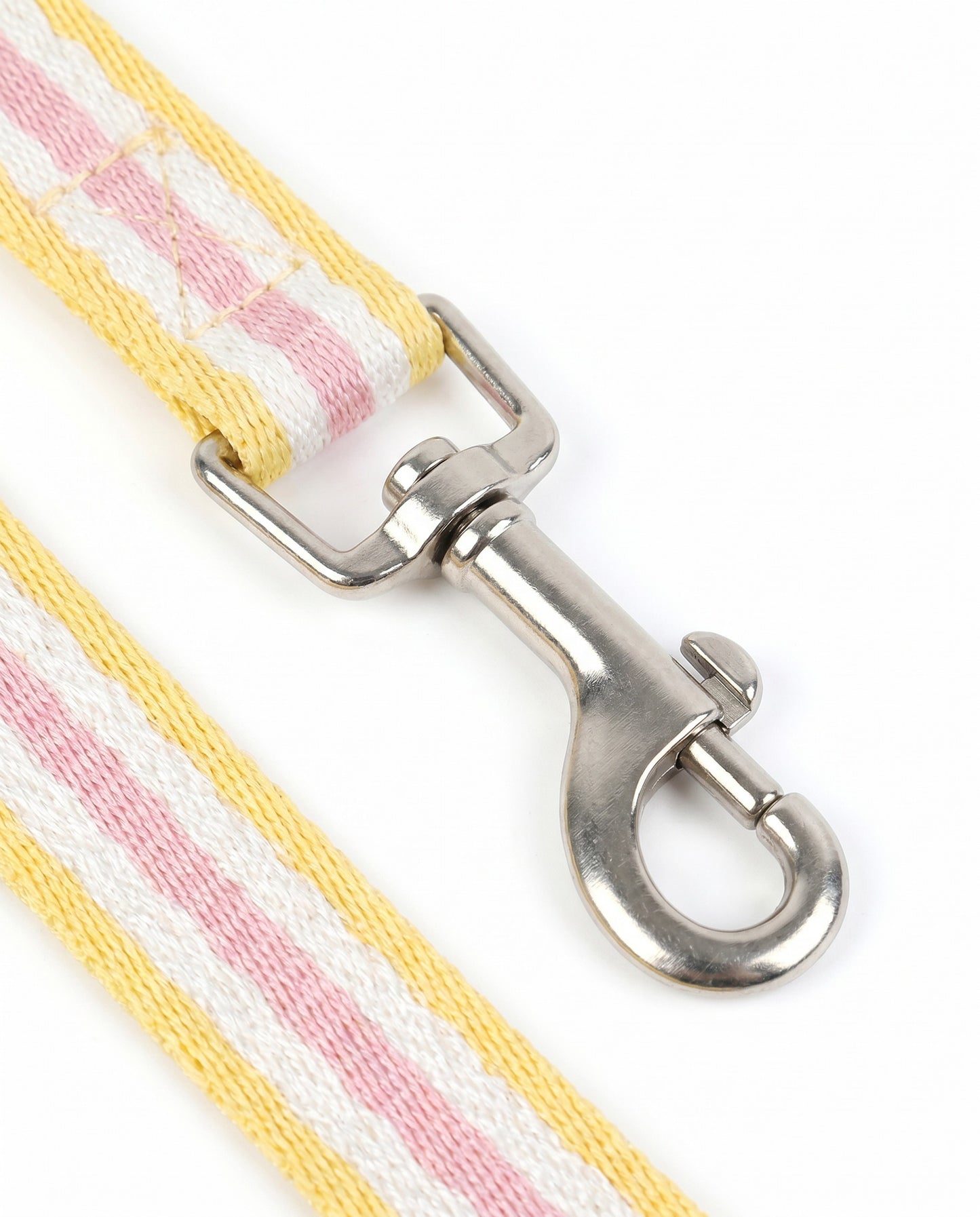 Sunny Days Striped Dog Collar & Leash Set