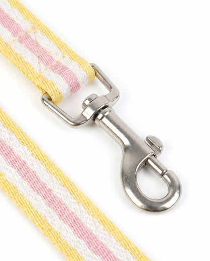 Sunny Days Striped Dog Collar & Leash Set