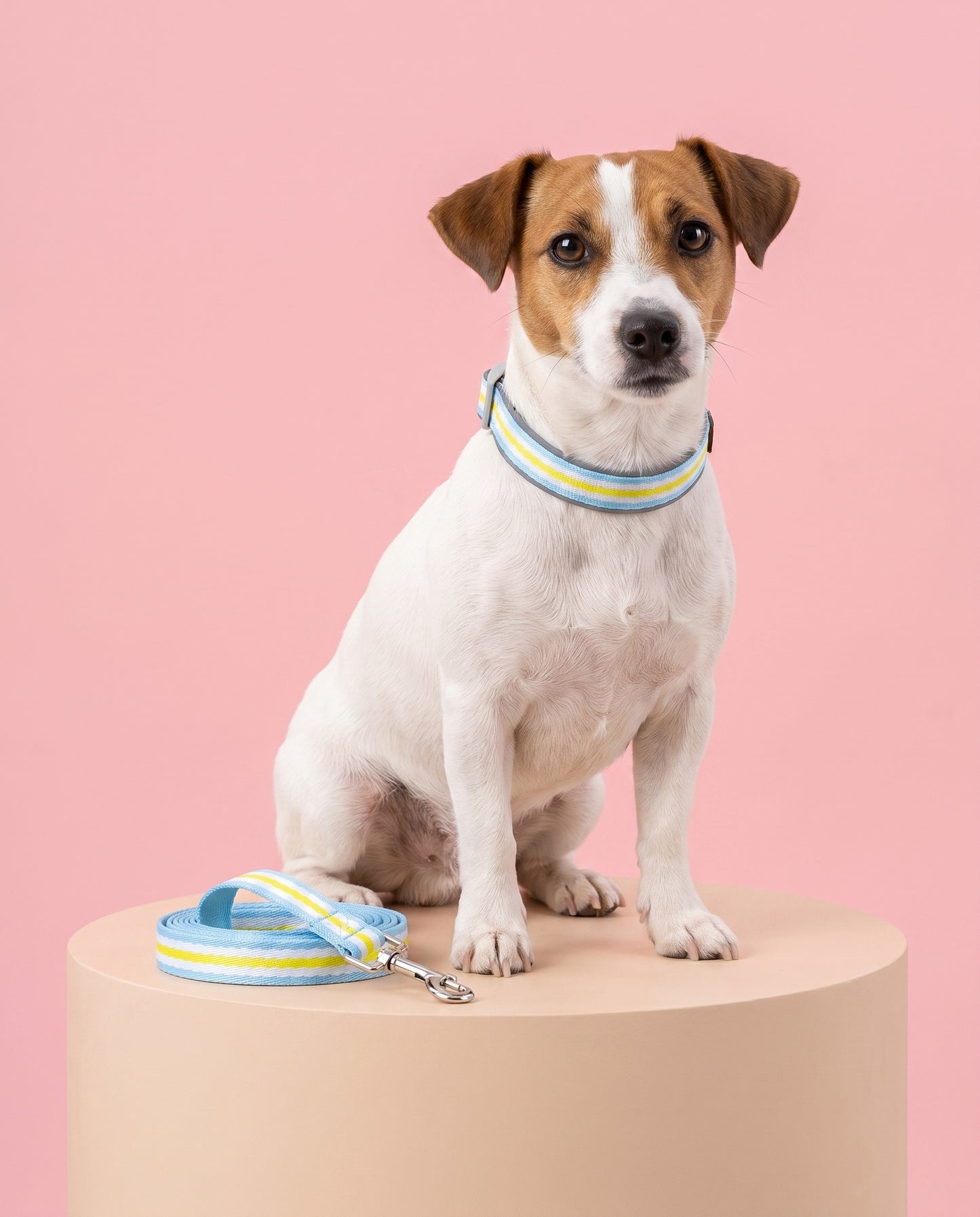 Clear Skies Striped Dog Collar & Leash Set