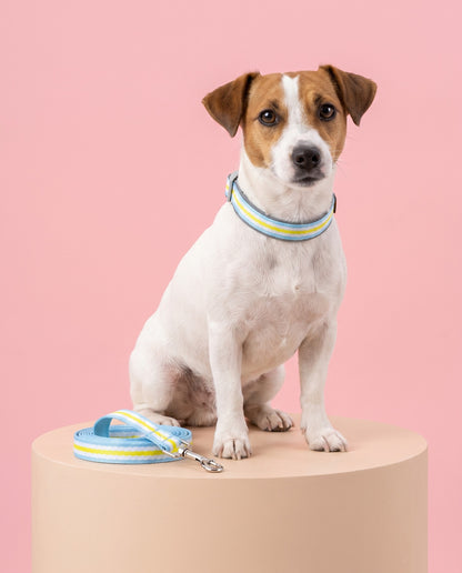Clear Skies Striped Dog Collar & Leash Set