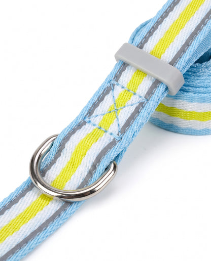 Clear Skies Striped Dog Collar & Leash Set