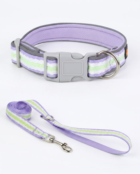 Lavender Fields Striped Dog Collar & Leash Set