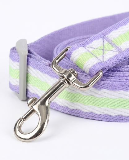 Lavender Fields Striped Dog Collar & Leash Set