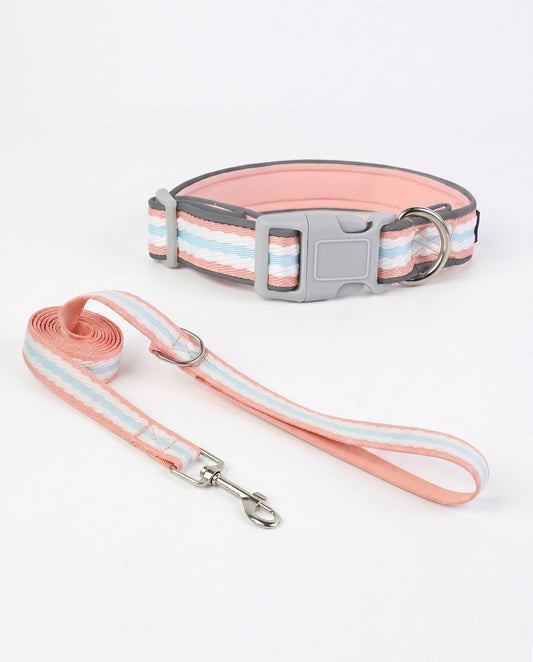 Peachy Keen Striped Dog Collar & Leash Set