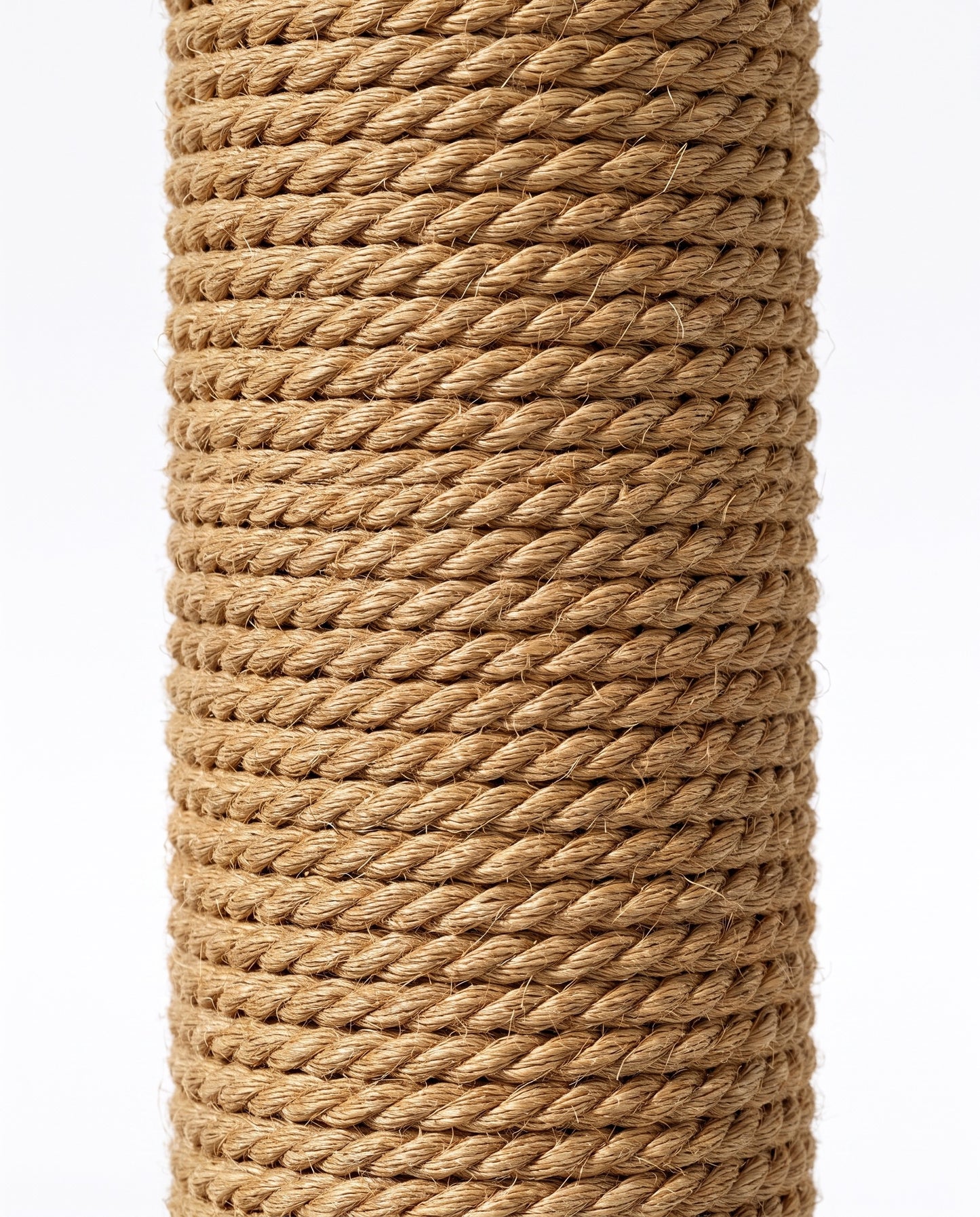 Tropical Paws Palm Tree Scratcher