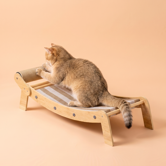 Lazy Day Lounge Scratcher