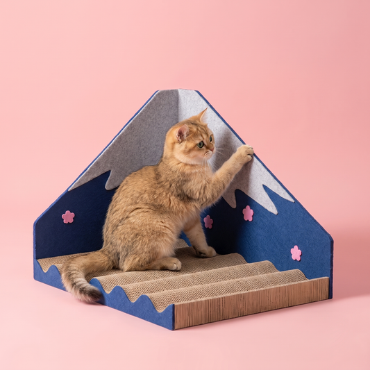 Kitty Mountain Climb Scratcher