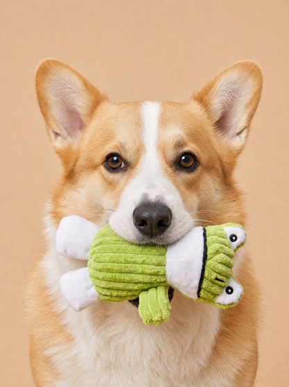 Froggy Friend Plush Toy