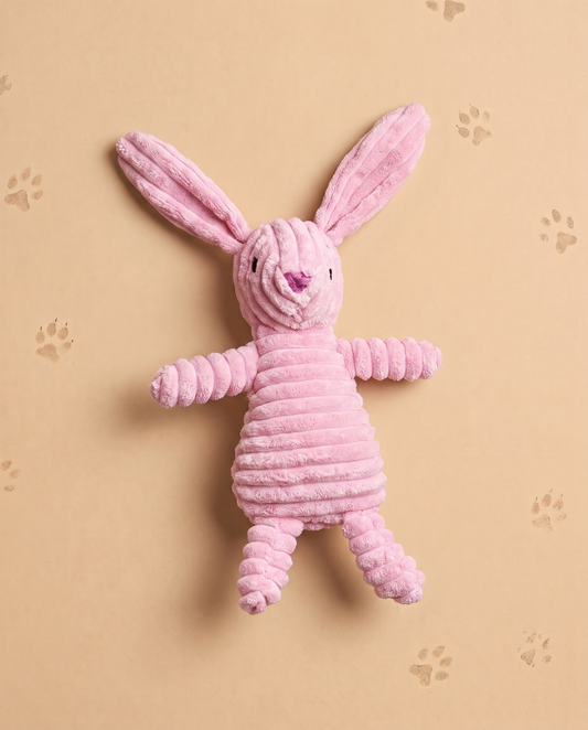 Bouncy Bunny Plush Toy