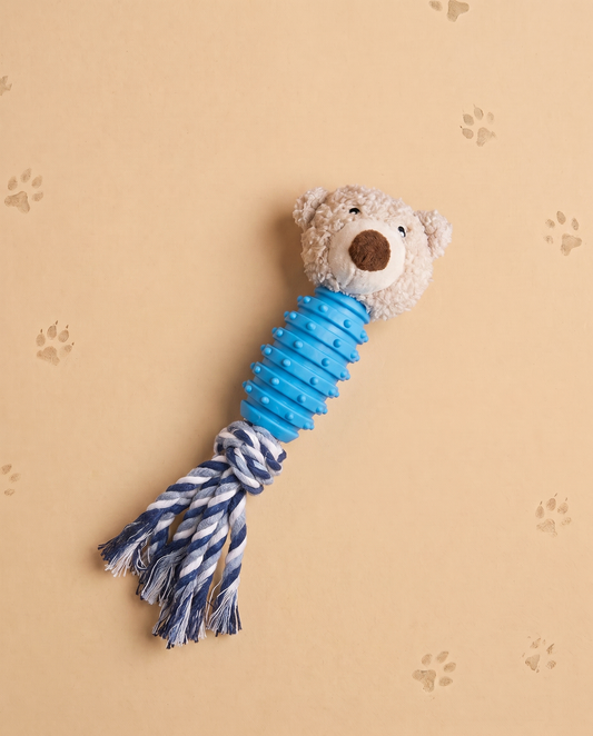Bear Buddy Chew & Tug Toy
