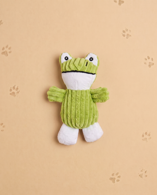 Froggy Friend Plush Toy