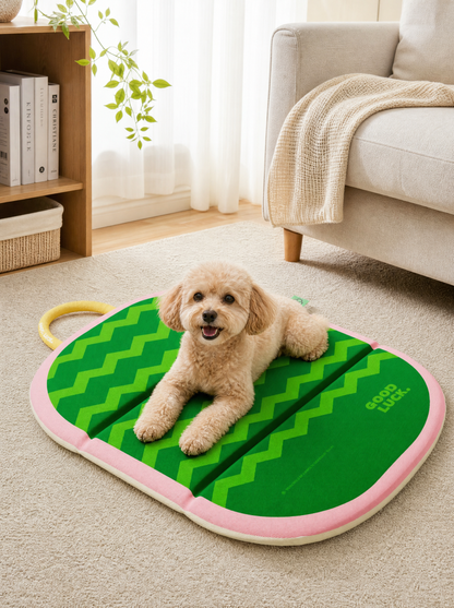 Lucky Melon Pup Mat